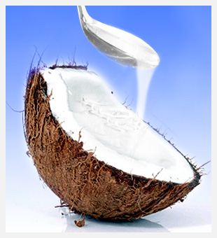 coconut milk